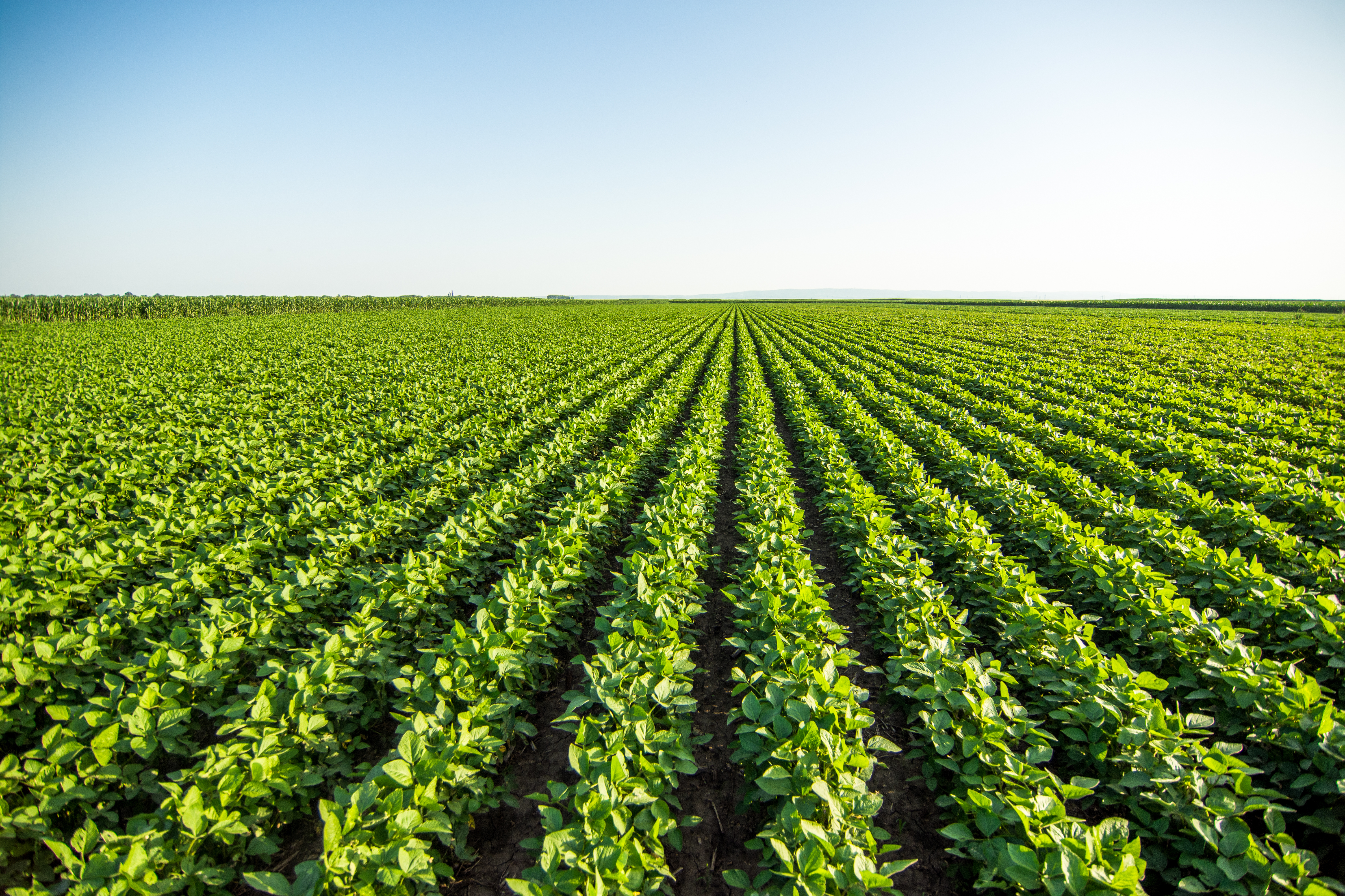Agricultua